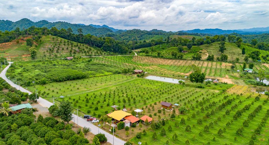 For sale 2 bedrooms land in Laplae, Uttaradit
