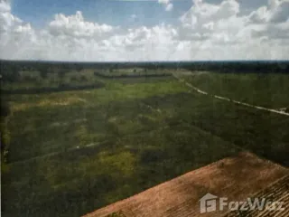 For sale land in Khok Sung, Sa Kaeo
