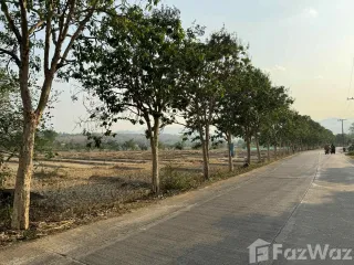 For sale land in Pai, Mae Hong Son