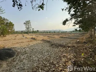 For sale land in Pai, Mae Hong Son