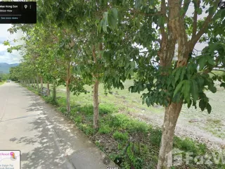 For sale land in Pai, Mae Hong Son