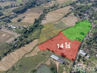 For sale land in Pai, Mae Hong Son