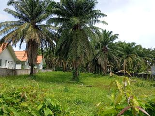 For rent land in Thalang, Phuket