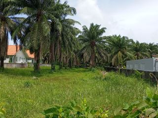 For rent land in Thalang, Phuket