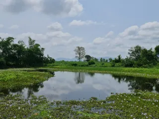ขาย ที่ดิน ใน เมืองเชียงราย, เชียงราย