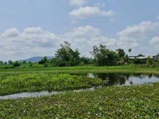 ขาย ที่ดิน ใน เมืองเชียงราย, เชียงราย