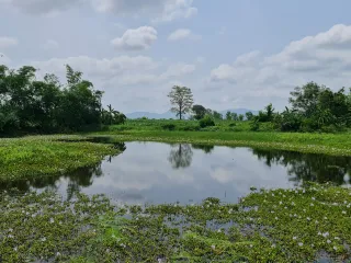 ขาย ที่ดิน ใน เมืองเชียงราย, เชียงราย