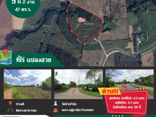 For sale land in Wang Saphung, Loei