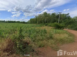 For sale land in Wang Saphung, Loei