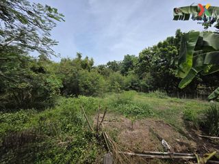 For sale 1 bed land in Bang Sai, Phra Nakhon Si Ayutthaya