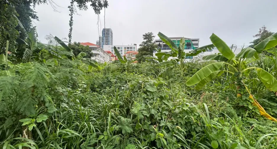 For sale land in Bang Lamung, Chonburi