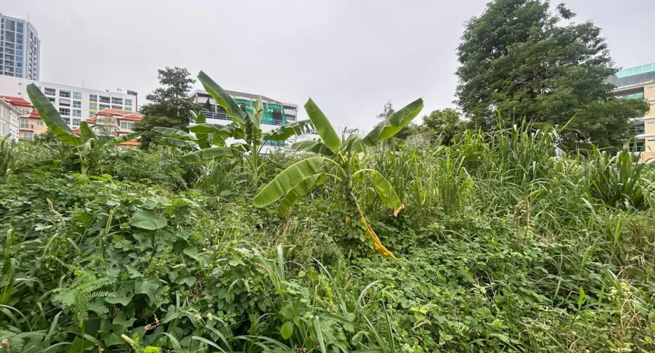 For sale land in Bang Lamung, Chonburi
