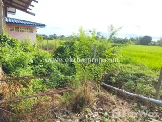 For sale land in Phutthamonthon, Nakhon Pathom