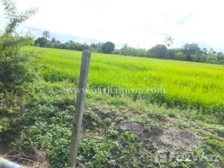 For sale land in Phutthamonthon, Nakhon Pathom