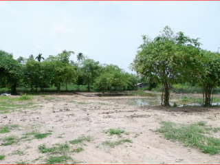 For sale land in Bang Lamung, Chonburi