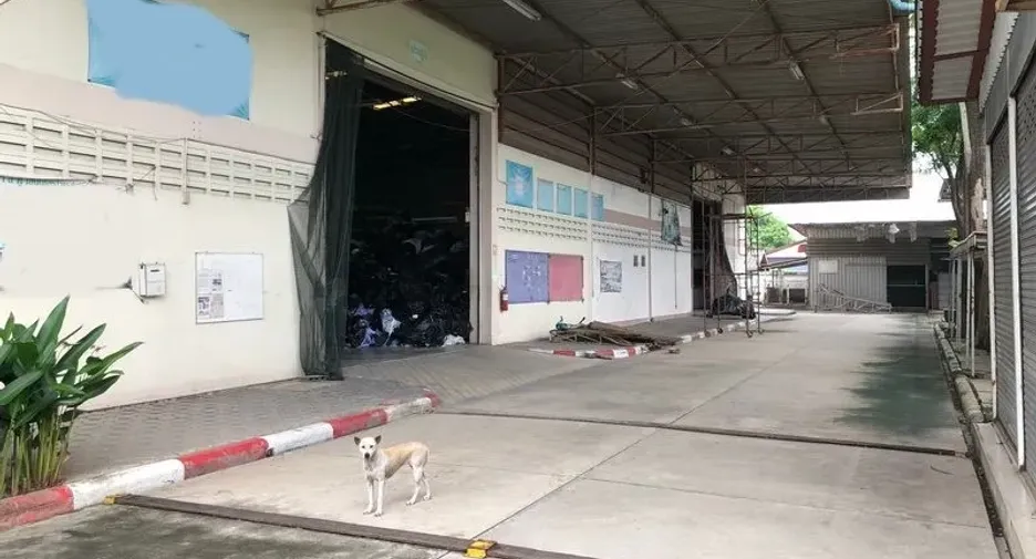 À vendre entrepôt à Lam Luk Ka, Pathum Thani