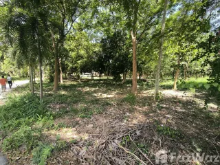 For sale land in Mueang Kanchanaburi, Kanchanaburi