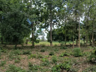 For sale land in Mueang Kanchanaburi, Kanchanaburi