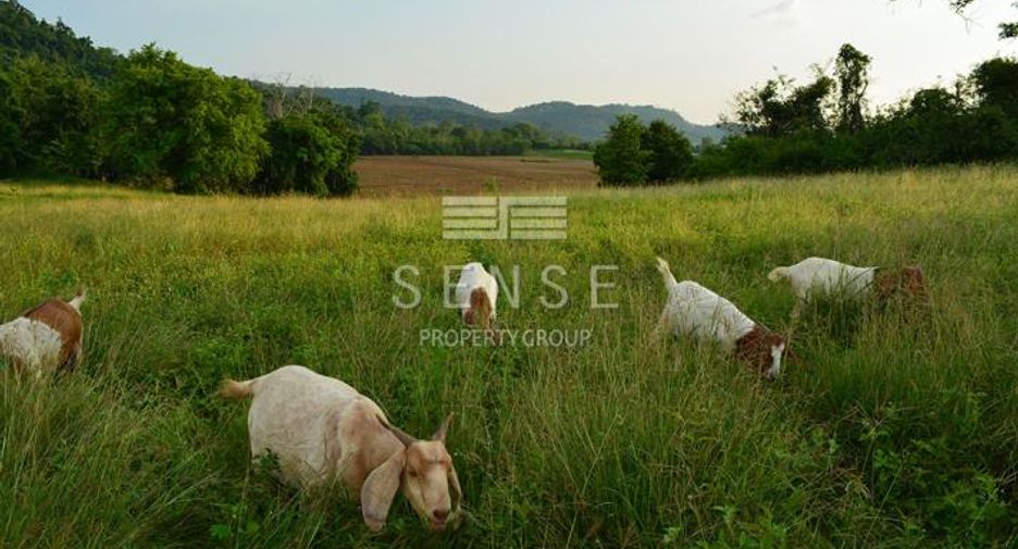 For sale 3 bedrooms house in Kaeng Khoi, Saraburi