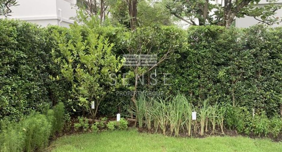 For sale and for rent 3 bedrooms house in Bang Kapi, Bangkok