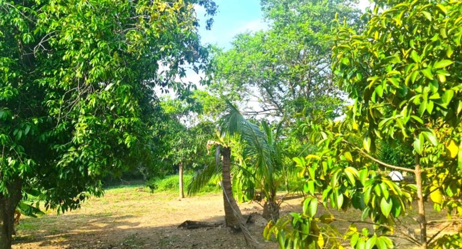 À vendre terrain à Sattahip, Chonburi
