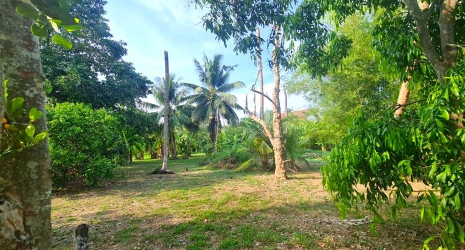 À vendre terrain à Sattahip, Chonburi