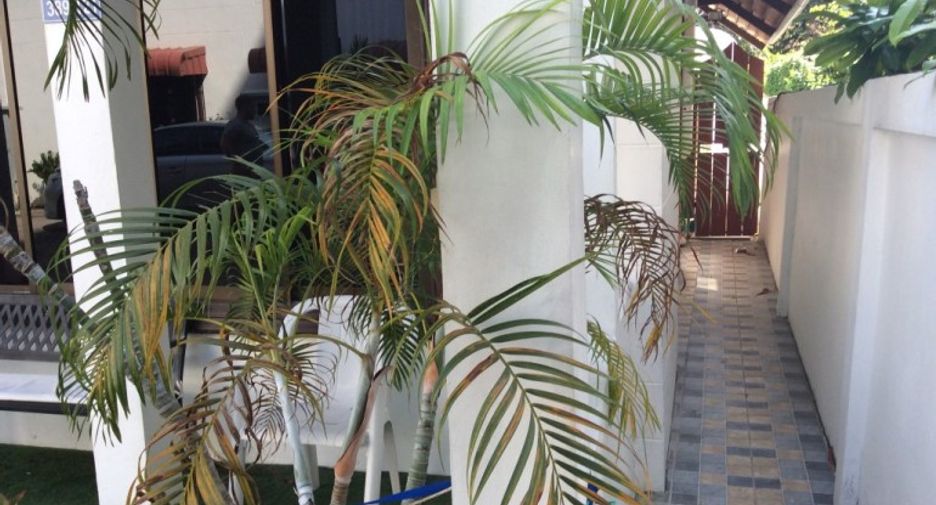À vendre 5 chambres maison à Pratumnak, Pattaya