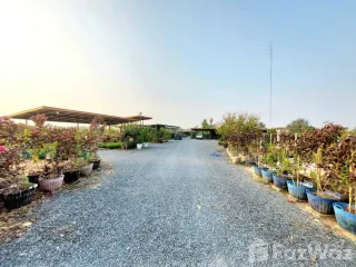 For sale land in Nong Ya Sai, Suphan Buri