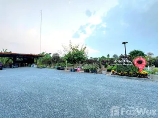 For sale land in Nong Ya Sai, Suphan Buri