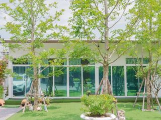 For rent 26 Beds villa in Bang Lamung, Chonburi