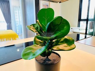 For rent 1 bed condo in Suan Luang, Bangkok