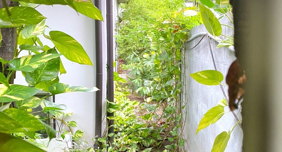 Haus zur Miete mit 2 Zimmer in Watthana, Bangkok