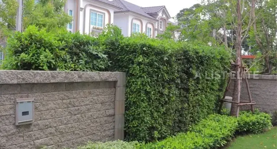Casa en alquiler de 4 habitaciones en Bang Phli, Samut Prakan