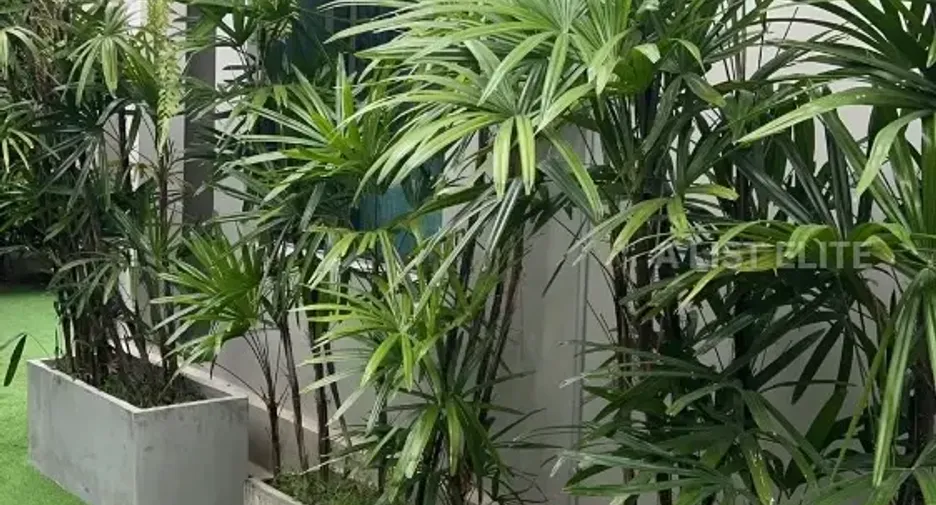 For rent 3 bedrooms house in Bang Phli, Samut Prakan