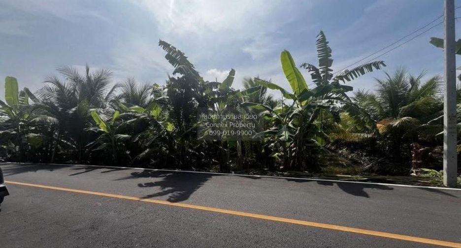 出售 1 卧室 土地 在 Ban Phaeo, Samut Sakhon