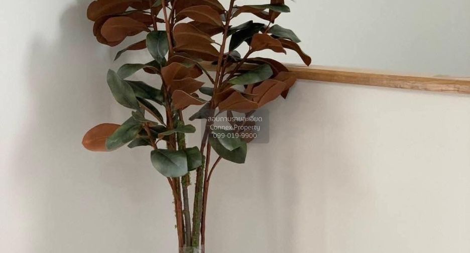 For rent 3 bedrooms townhouse in Bang Phli, Samut Prakan