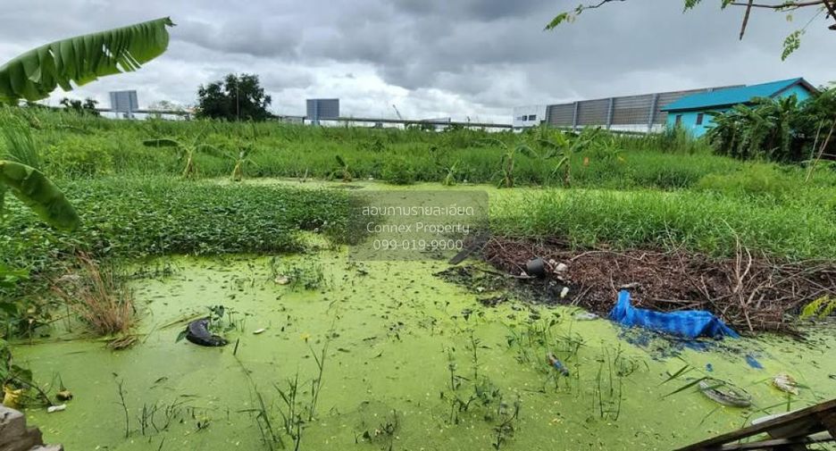 For sale 1 bed land in Lat Krabang, Bangkok