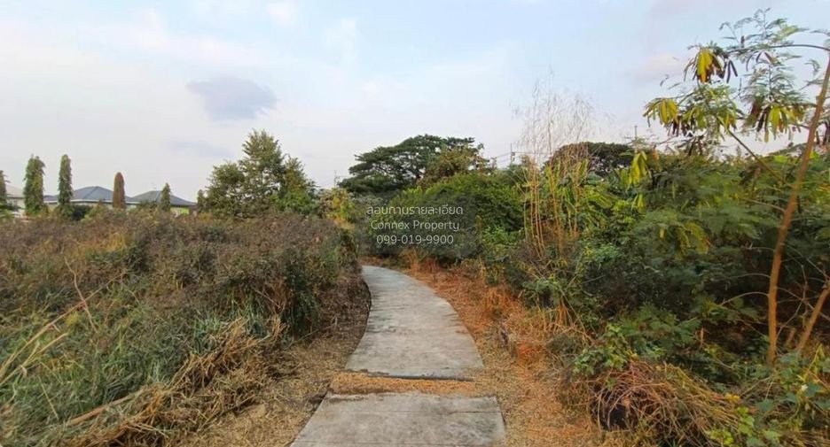 À vendre 1 chambre terrain à Mueang Nonthaburi, Nonthaburi