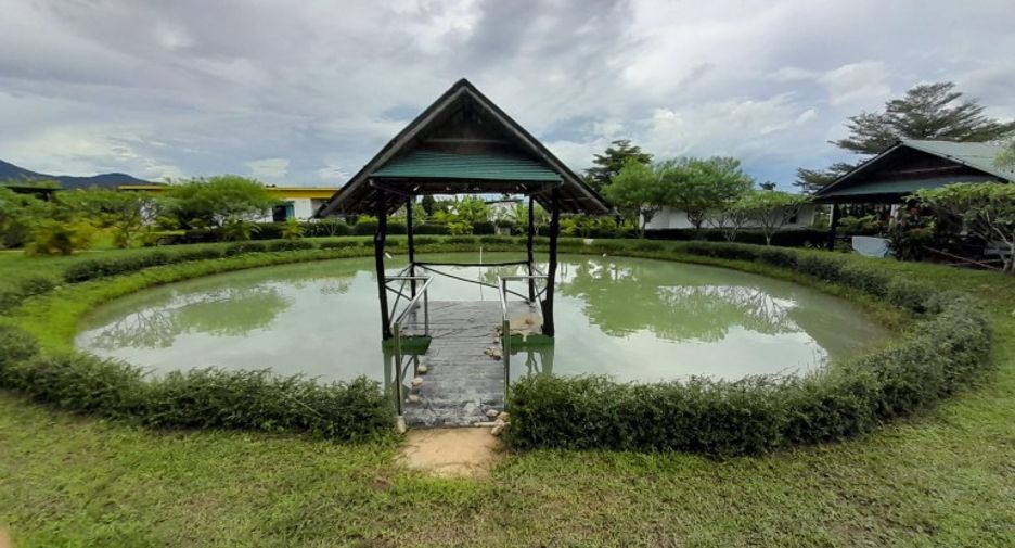 出售 商业空间 在 Chiang Dao, Chiang Mai