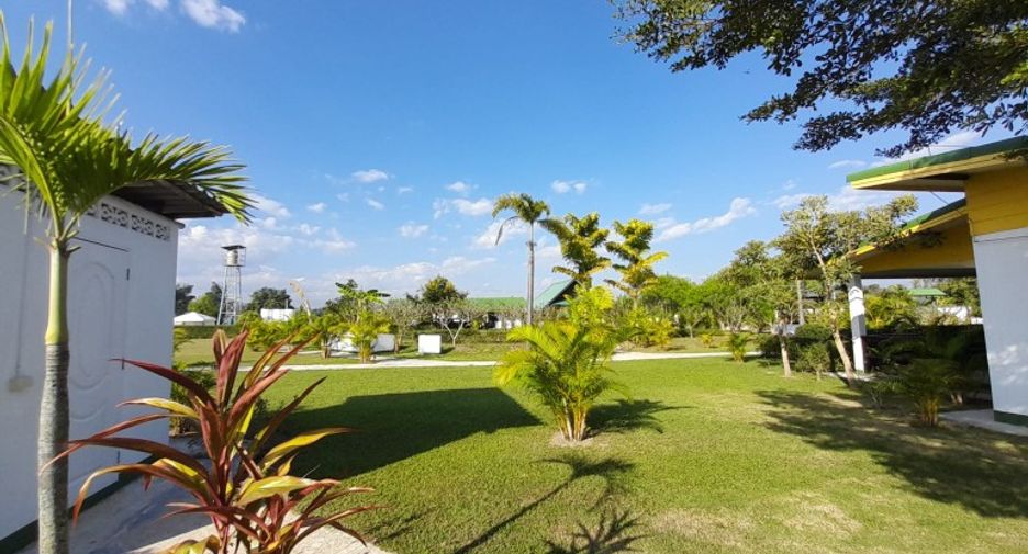 出售 商业空间 在 Chiang Dao, Chiang Mai
