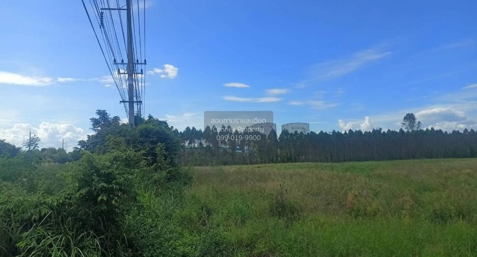 出售 1 卧室 土地 在 Kabin Buri, Prachin Buri