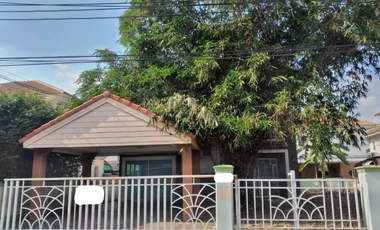 For sale 3 bedrooms house in Nong Chok, Bangkok