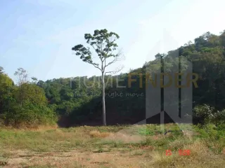 For sale land in Pak Chong, Nakhon Ratchasima