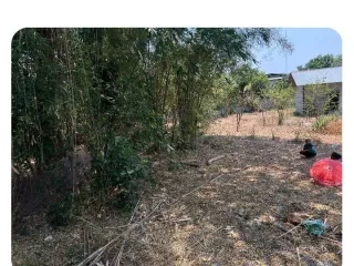 For sale land in Yang Talat, Kalasin