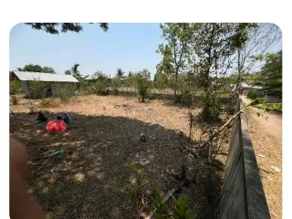 For sale land in Yang Talat, Kalasin