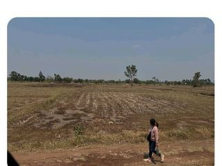 For sale land in Yang Talat, Kalasin