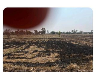 For sale land in Yang Talat, Kalasin
