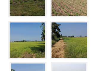 For sale land in Banphot Phisai, Nakhon Sawan
