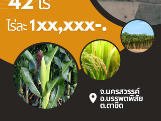 For sale land in Banphot Phisai, Nakhon Sawan