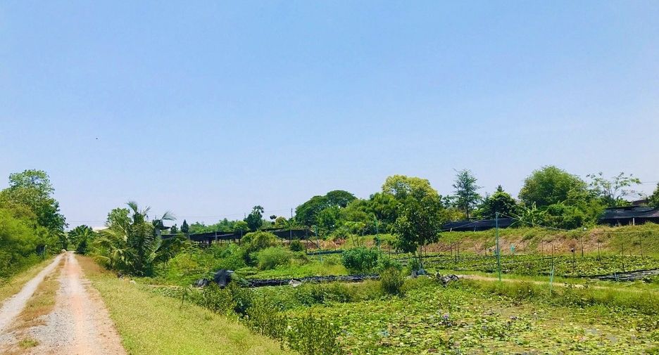 For sale land in Bang Yai, Nonthaburi